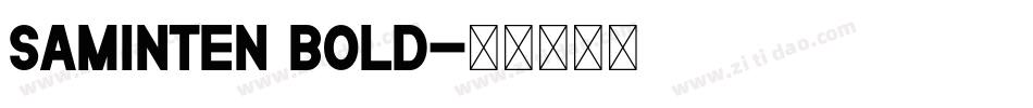 Saminten Bold字体转换